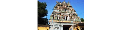 திருக்கொலிலி - ஆவணி விதங்கர் - பிருங்க நடனம்